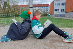 Lesebild-2