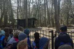 zoo2