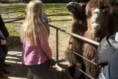 zoo3