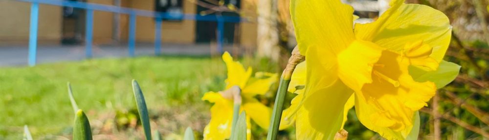 Regionale Schule mit Grundschule Zehna